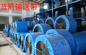 普通91免费下载APP小黄片